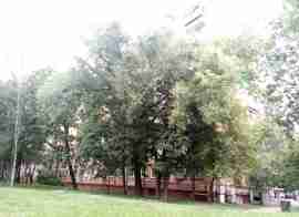 ВАО, р-н Новогиреево, Зелёный пр-т, д. 60/35, Подвал № 0