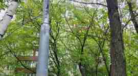 СВАО, Бутырский р-н, ул. Гончарова, д. 3, этаж 9, квартира 68